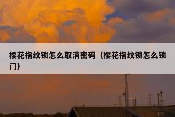 樱花指纹锁怎么取消密码（樱花指纹锁怎么锁门） 第1张