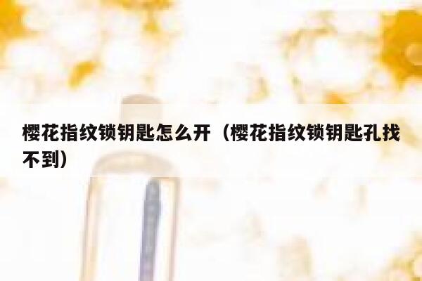 樱花指纹锁钥匙怎么开（樱花指纹锁钥匙孔找不到） 第1张