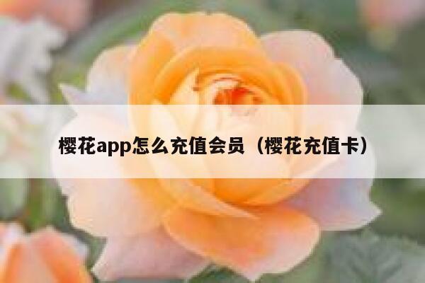樱花app怎么充值会员（樱花充值卡） 第1张