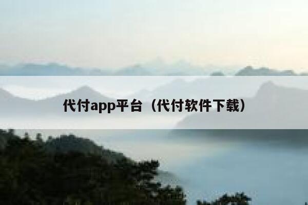 代付app平台（代付软件下载） 第1张