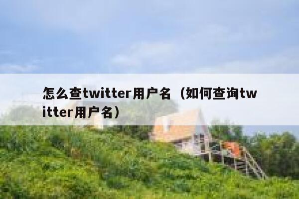 怎么查twitter用户名（如何查询twitter用户名） 第1张