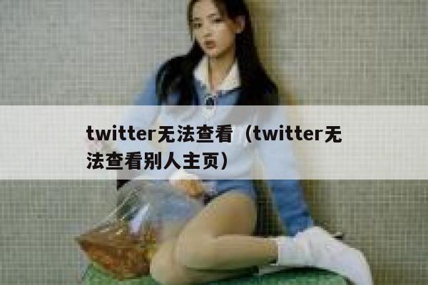 twitter无法查看（twitter无法查看别人主页） 第1张