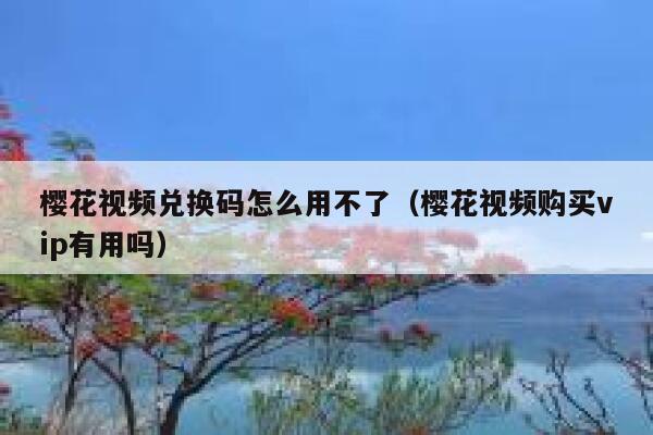 樱花视频兑换码怎么用不了（樱花视频购买vip有用吗） 第1张