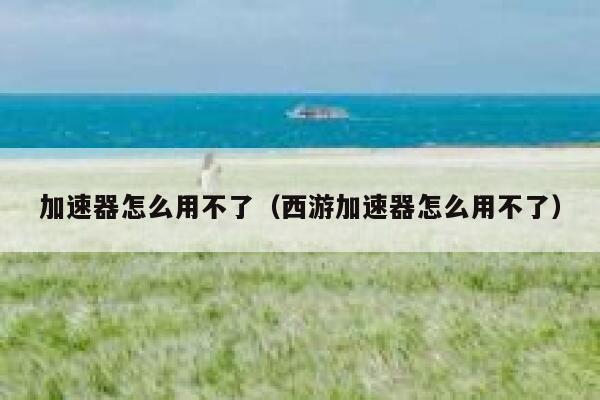 加速器怎么用不了（西游加速器怎么用不了） 第1张