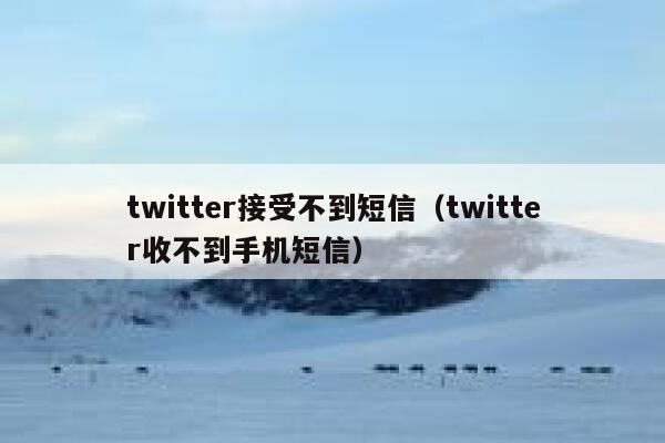 twitter接受不到短信（twitter收不到手机短信） 第1张