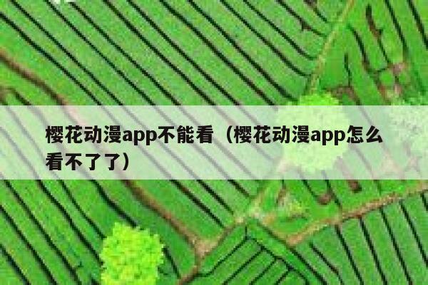 樱花动漫app不能看（樱花动漫app怎么看不了了） 第1张