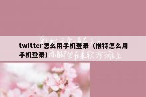 twitter怎么用手机登录（推特怎么用手机登录） 第1张