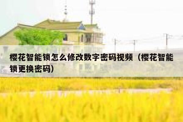 樱花智能锁怎么修改数字密码视频（樱花智能锁更换密码） 第1张