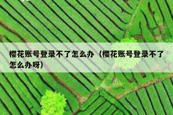 樱花账号登录不了怎么办(樱花账号登录不了怎么办呀) 第1张 樱花账号登录不了怎么办(樱花账号登录不了怎么办呀) 第1张