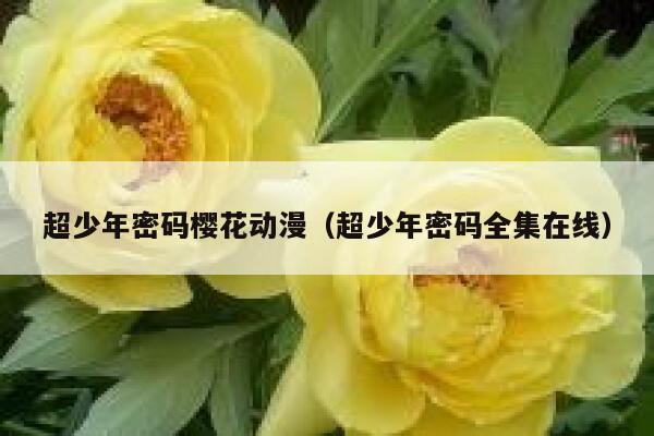 超少年密码樱花动漫（超少年密码全集在线） 第1张