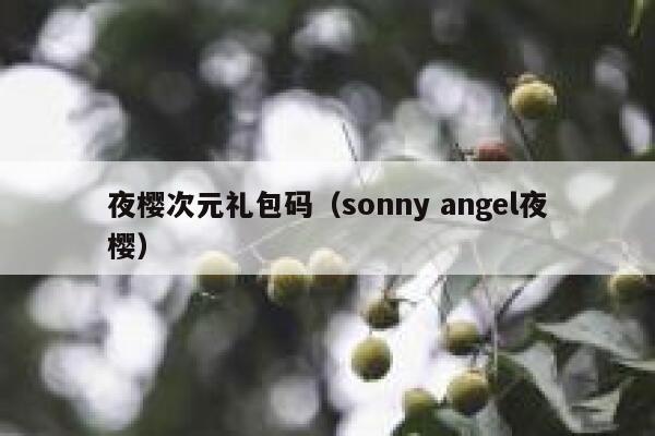 夜樱次元礼包码（sonny angel夜樱） 第1张