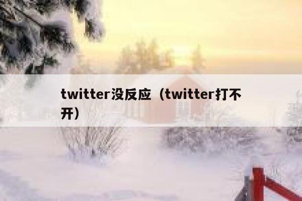 twitter没反应（twitter打不开） 第1张