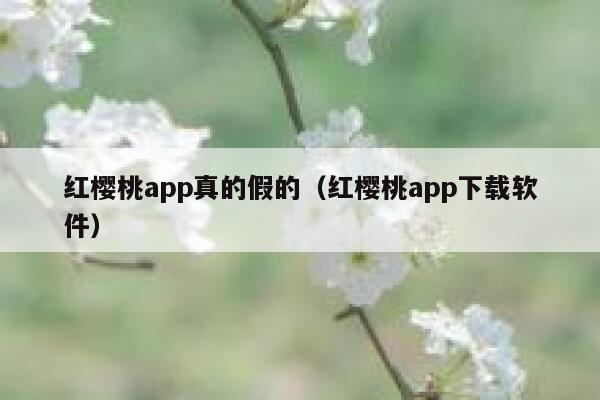 红樱桃app真的假的（红樱桃app下载软件） 第1张