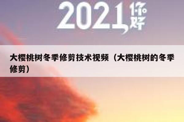 大樱桃树冬季修剪技术视频（大樱桃树的冬季修剪） 第1张