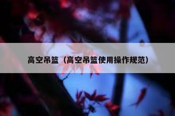 高空吊篮（高空吊篮使用操作规范） 第1张