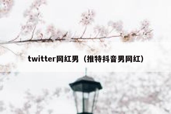 twitter网红男（推特抖音男网红） 第1张