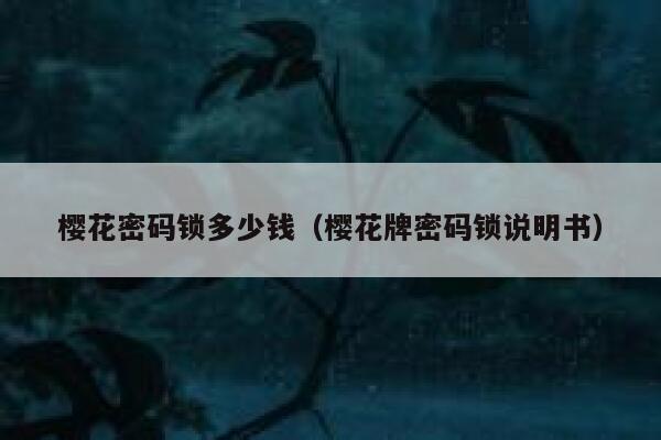 樱花密码锁多少钱（樱花牌密码锁说明书） 第1张