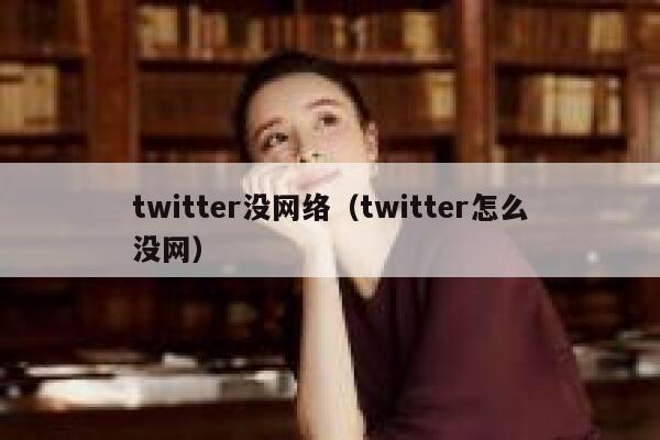 twitter没网络（twitter怎么没网） 第1张