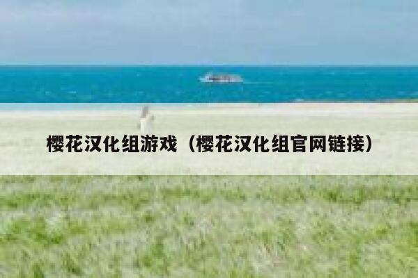 樱花汉化组游戏（樱花汉化组官网链接） 第1张