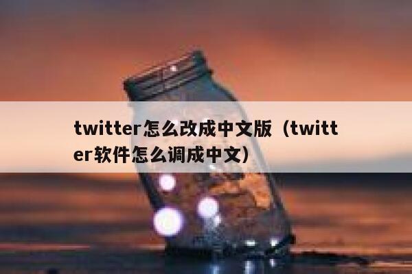 twitter怎么改成中文版（twitter软件怎么调成中文） 第1张