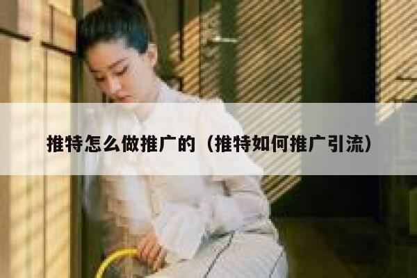 推特怎么做推广的（推特如何推广引流） 第1张