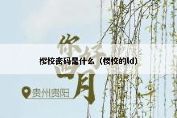 樱校密码是什么（樱校的ld） 第1张