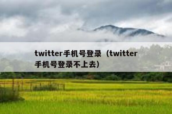 twitter手机号登录（twitter手机号登录不上去） 第1张