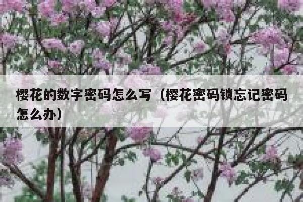 樱花的数字密码怎么写（樱花密码锁忘记密码怎么办） 第1张
