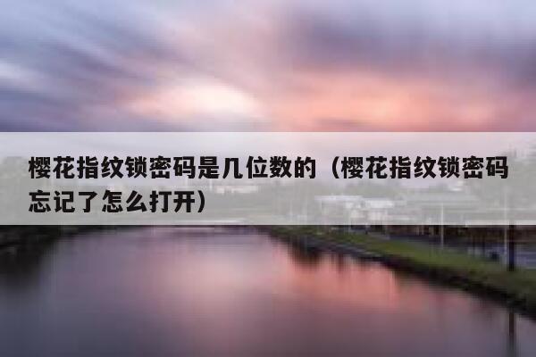 樱花指纹锁密码是几位数的（樱花指纹锁密码忘记了怎么打开） 第1张