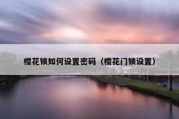 樱花锁如何设置密码（樱花门锁设置） 第1张