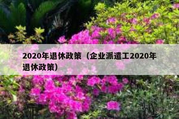 2020年退休政策（企业派遣工2020年退休政策） 第1张