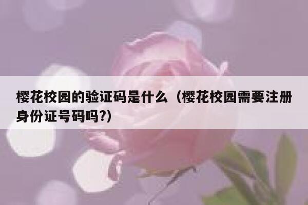 樱花校园的验证码是什么（樱花校园需要注册身份证号码吗?） 第1张