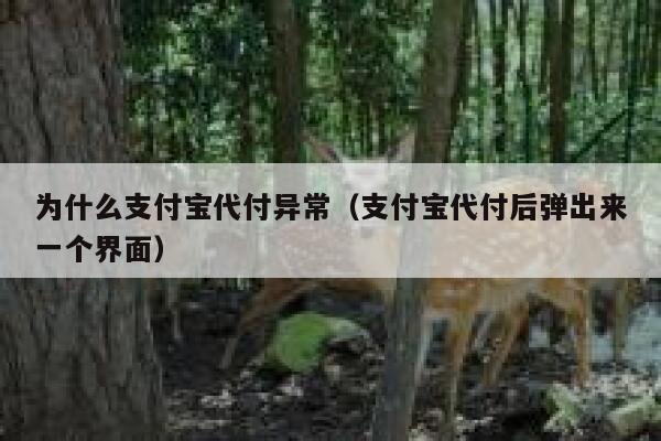 为什么支付宝代付异常（支付宝代付后弹出来一个界面） 第1张