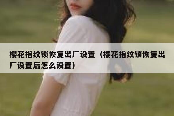 樱花指纹锁恢复出厂设置（樱花指纹锁恢复出厂设置后怎么设置） 第1张