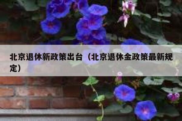 北京退休新政策出台（北京退休金政策最新规定） 第1张
