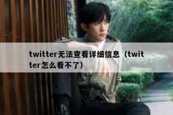 twitter无法查看详细信息（twitter怎么看不了） 第1张