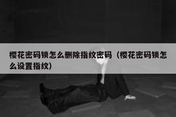 樱花密码锁怎么删除指纹密码（樱花密码锁怎么设置指纹） 第1张