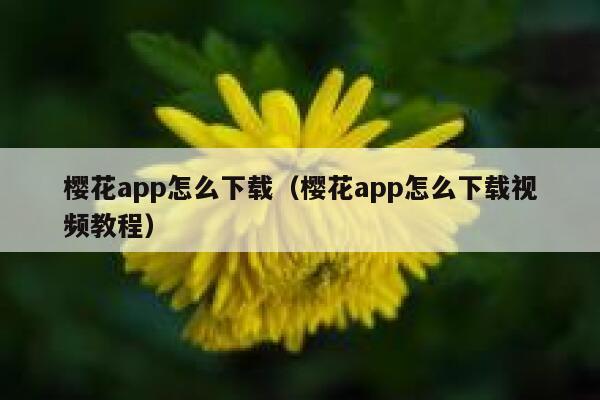 樱花app怎么下载(樱花app怎么下载视频教程) 第1张 樱花app怎么下载(樱花app怎么下载视频教程) 第1张
