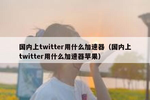 国内上twitter用什么加速器（国内上twitter用什么加速器苹果） 第1张