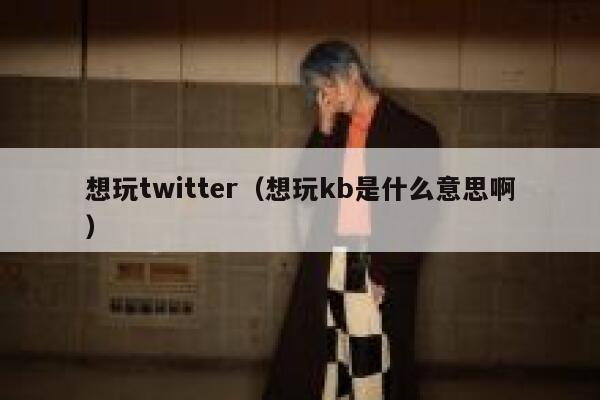 想玩twitter（想玩kb是什么意思啊） 第1张