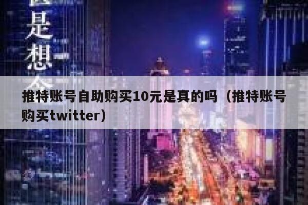 推特账号自助购买10元是真的吗（推特账号购买twitter） 第1张