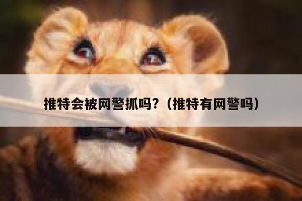 推特会被网警抓吗?（推特有网警吗） 第1张