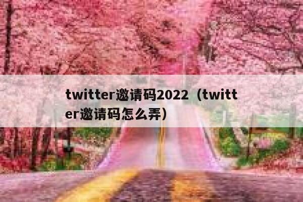 twitter邀请码2022（twitter邀请码怎么弄） 第1张