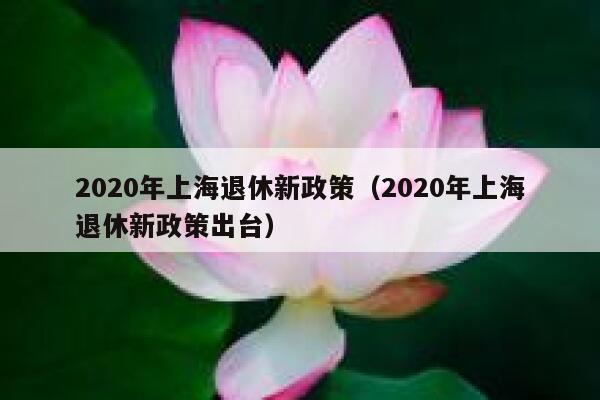2020年上海退休新政策（2020年上海退休新政策出台） 第1张
