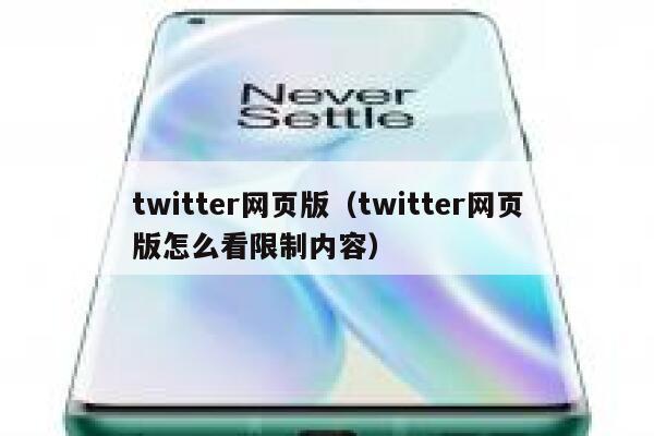 twitter网页版（twitter网页版怎么看限制内容） 第1张