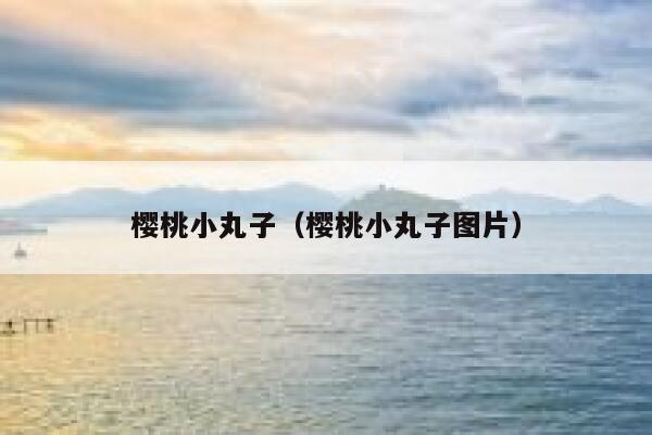 樱桃小丸子（樱桃小丸子图片） 第1张