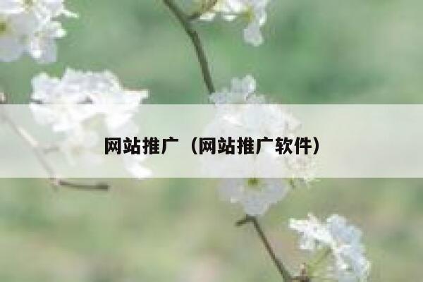 网站推广（网站推广软件） 第1张