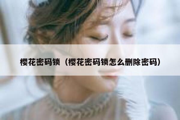 樱花密码锁（樱花密码锁怎么删除密码） 第1张