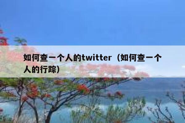 如何查一个人的twitter（如何查一个人的行踪） 第1张