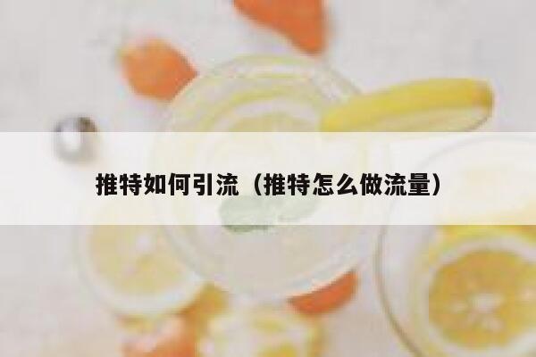 推特如何引流（推特怎么做流量） 第1张